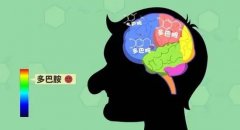 讓大腦產(chǎn)生最強(qiáng)烈快感的物質(zhì)……體感音樂